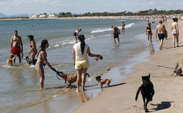Destinos con perro
